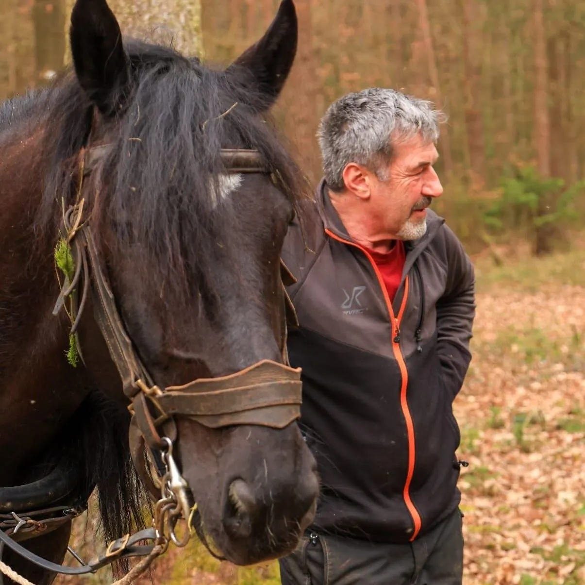 Reinhard Hundsdorfer