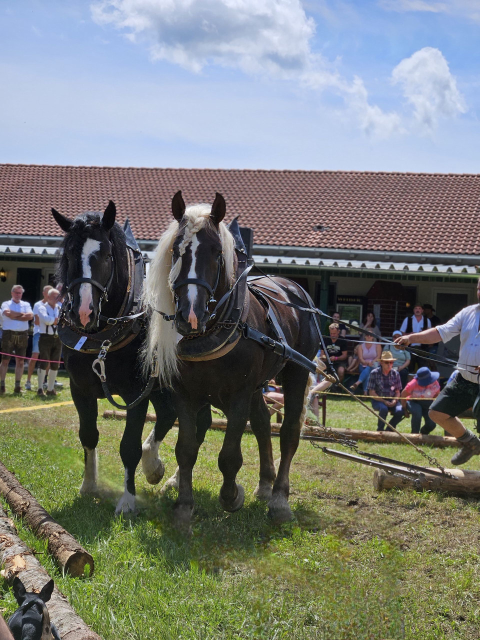 13. Offene Bayerische Meisterschaft in Bad Wörishofen