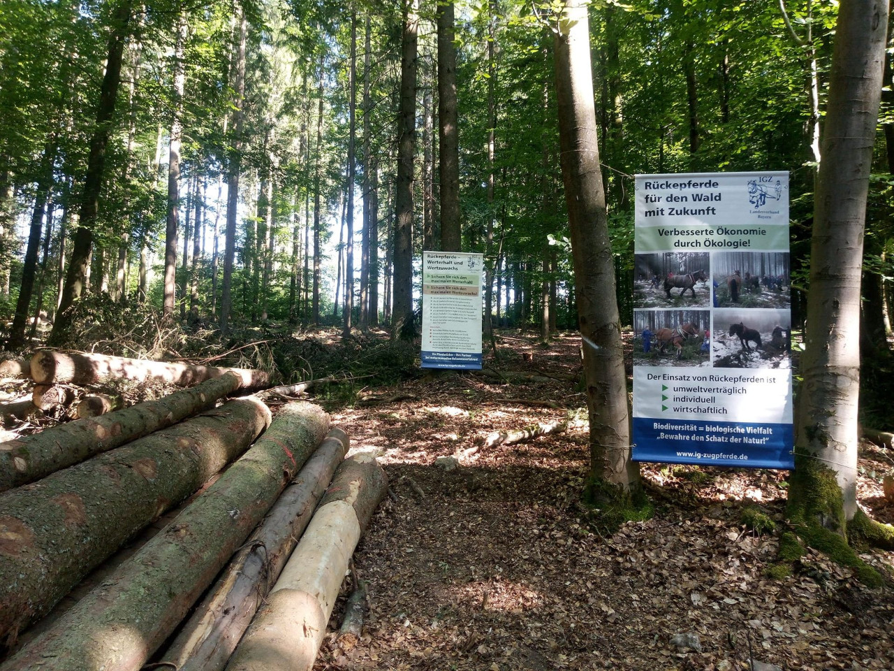 Bayerischer Waldtag in Kelheim