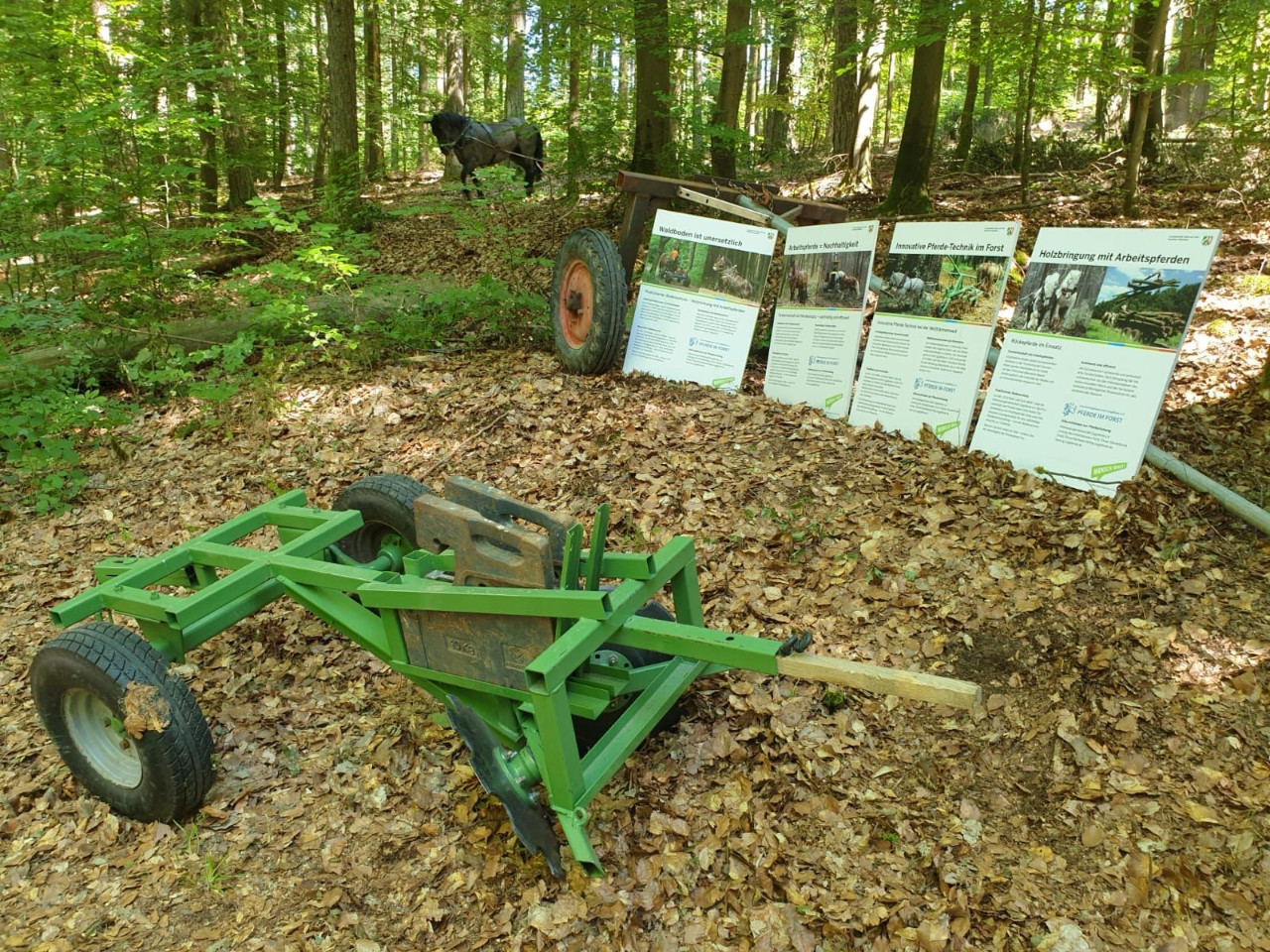 Bayerischer Waldtag in Kelheim