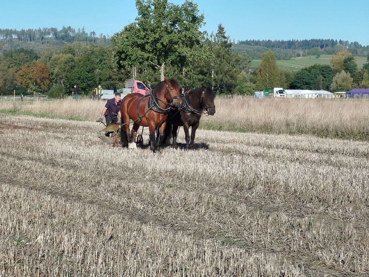 Deutsche Meisterschaft im Pflügen 2024