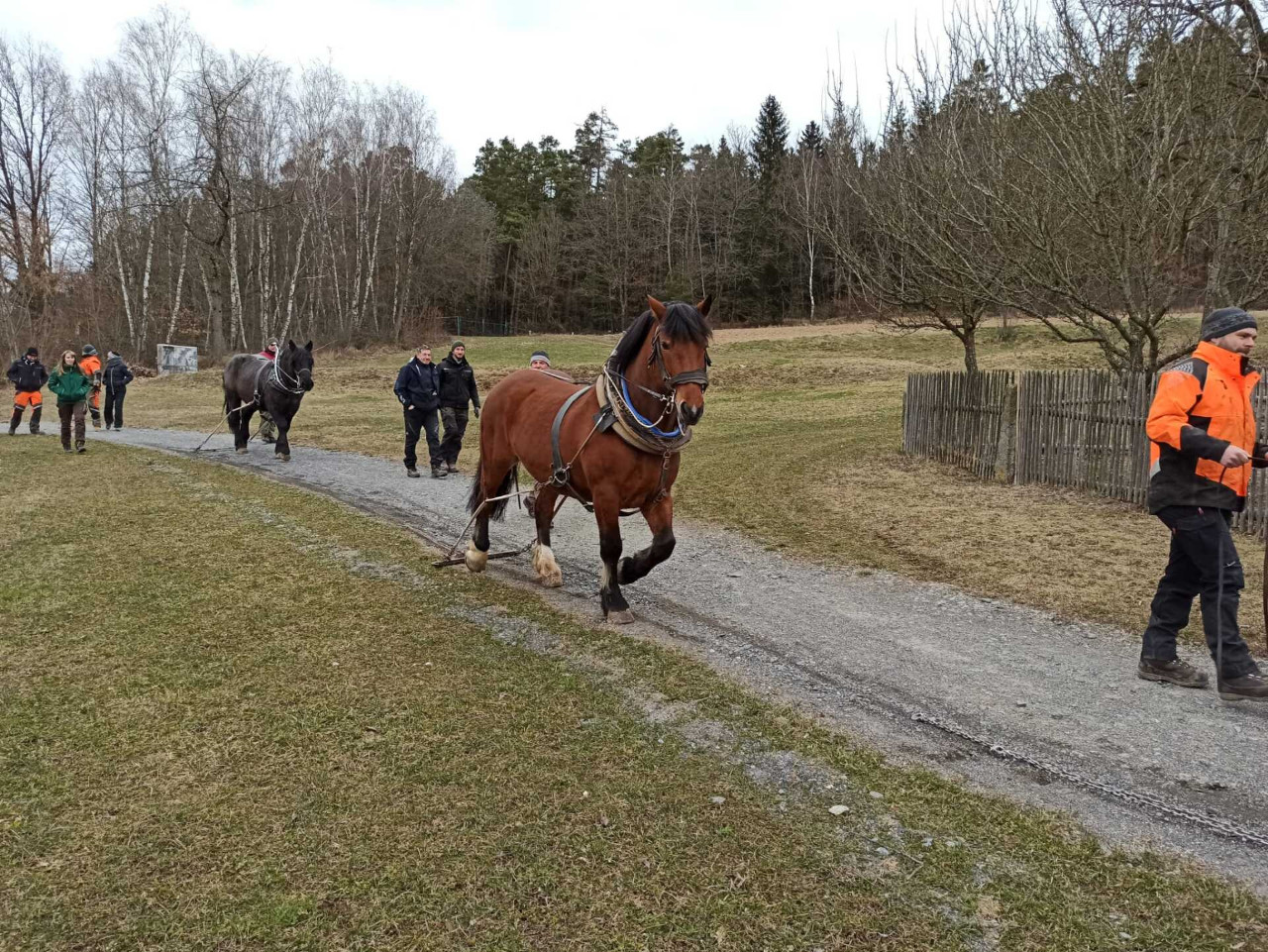 Erster APRI Kurs im Oberpfälzer Freilandmuseum