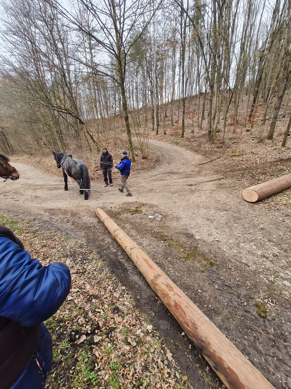 Erster APRI Kurs im Oberpfälzer Freilandmuseum