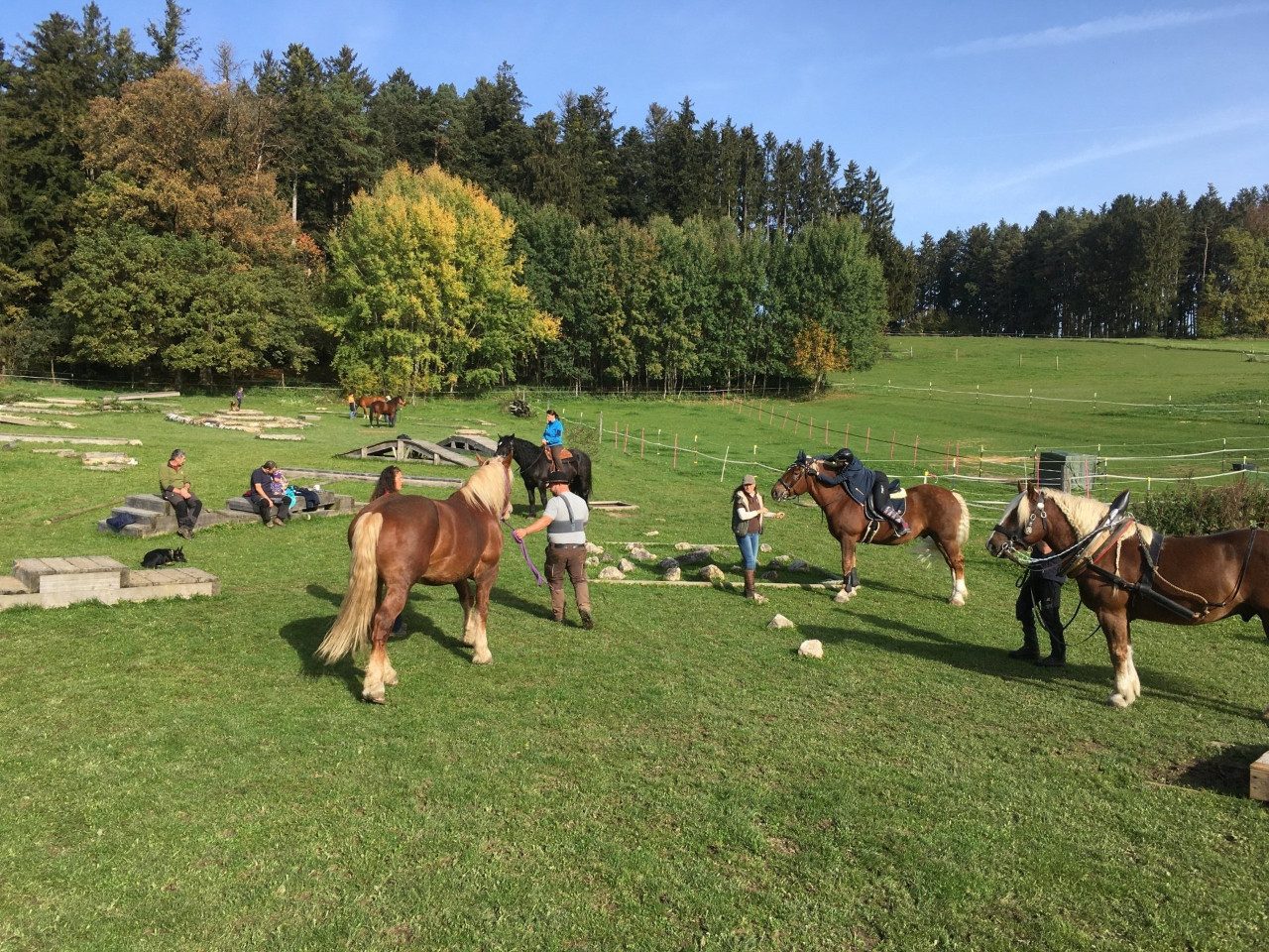 <img alt="" src="/user/pages/06.rueckblicke/extrem-trail-park/97880209-0B5E-4473-AADC-92A016CF81A0?name" />