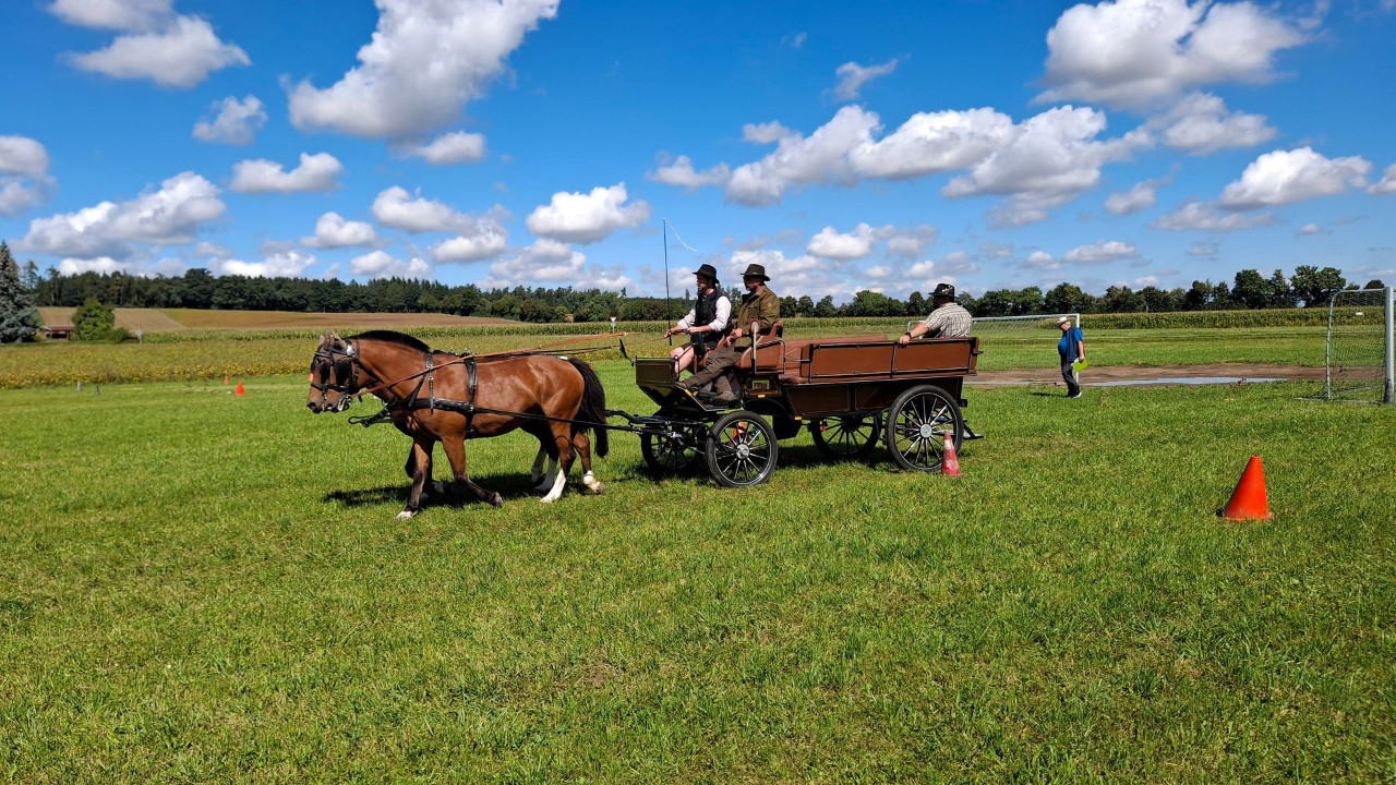 APRI Kurs Gewerbliches Fahren GF I und GF II