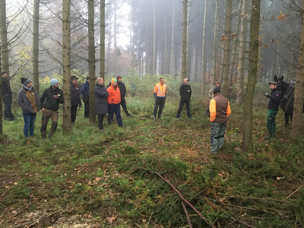 Infotag gewerbliches Holzrücken