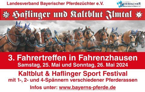 Kaltblut & Haflinger Sportfestival