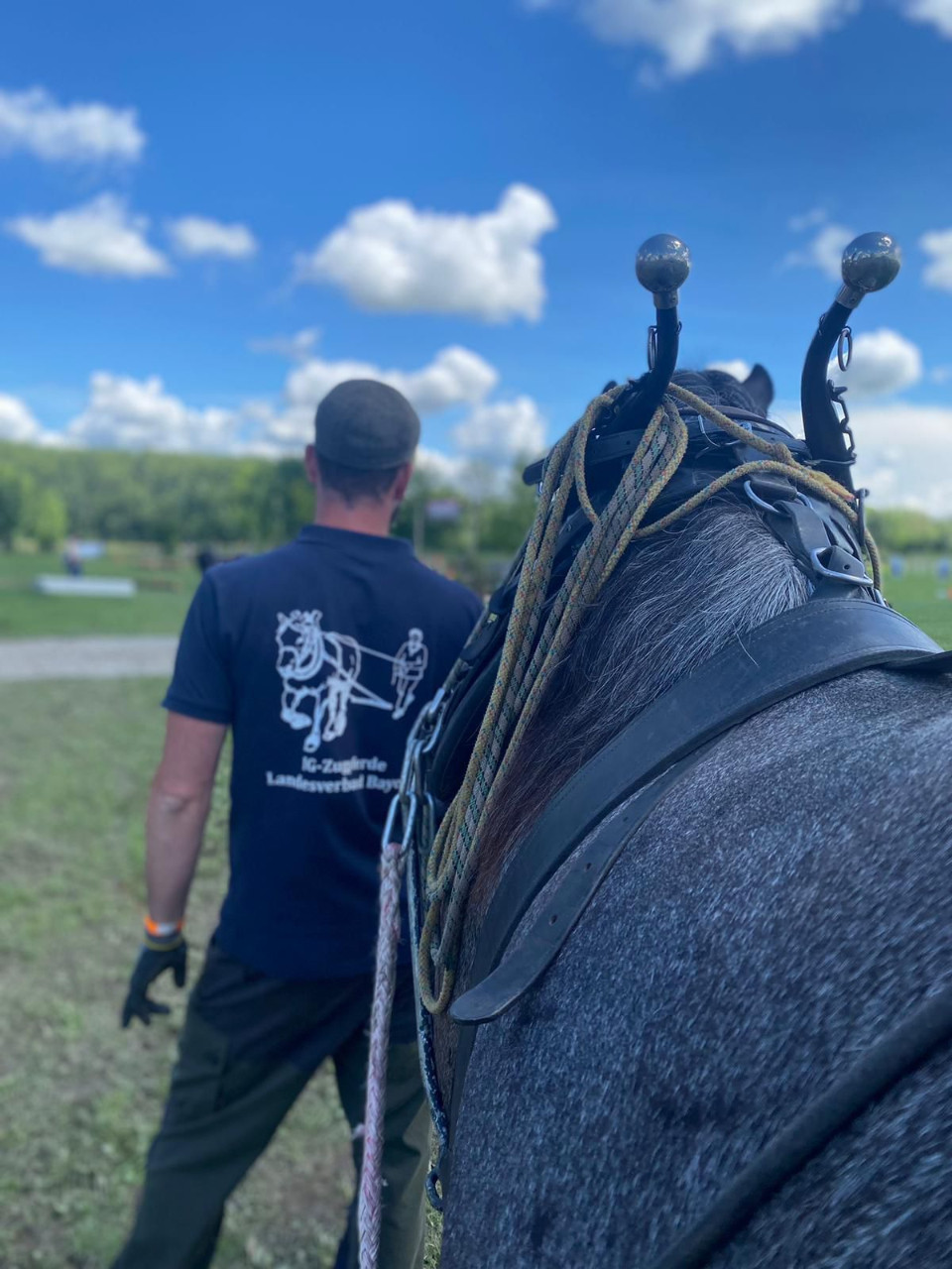 Kaltblut & Haflinger Sportfestival