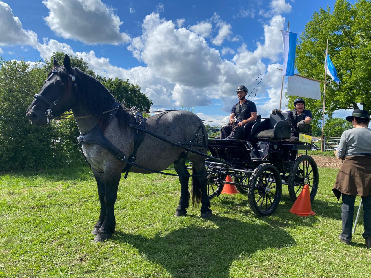 Kaltblut & Haflinger Sportfestival