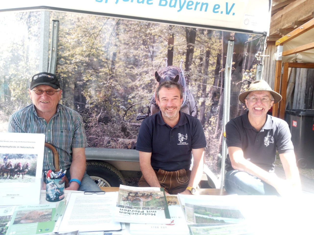 Kaltblut & Haflinger Sportfestival