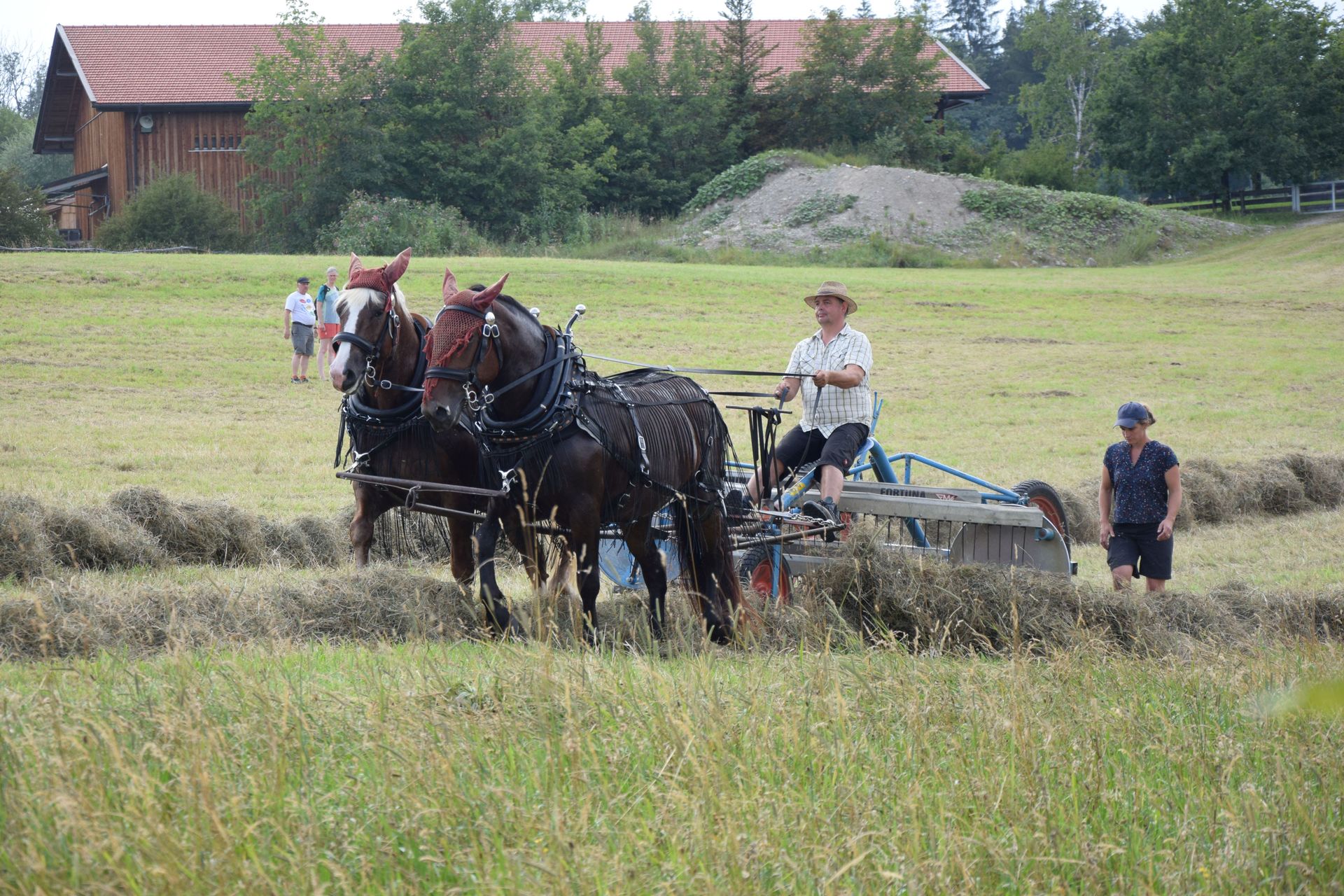 Nutztiertag im Freilandmuseum Glentleiten