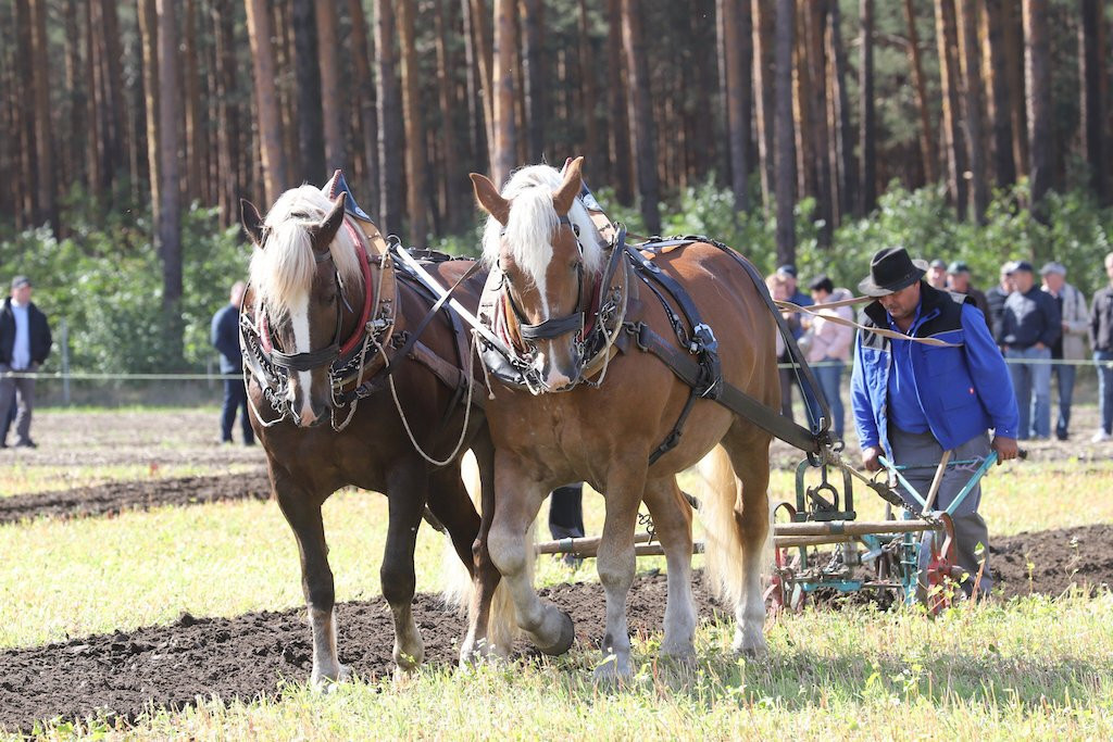 Deutsche Meisterschaft im Gespannpflügen 2022