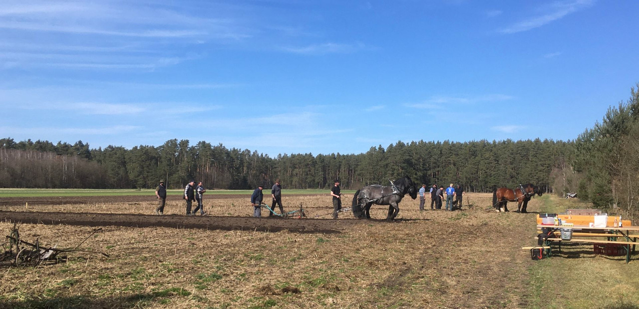 <img alt="" src="/user/pages/06.rueckblicke/pfluegen-intensiv/04_7123E6E7-49D5-4435-9027-E29A0B0E06C0_1_201_a?name" />