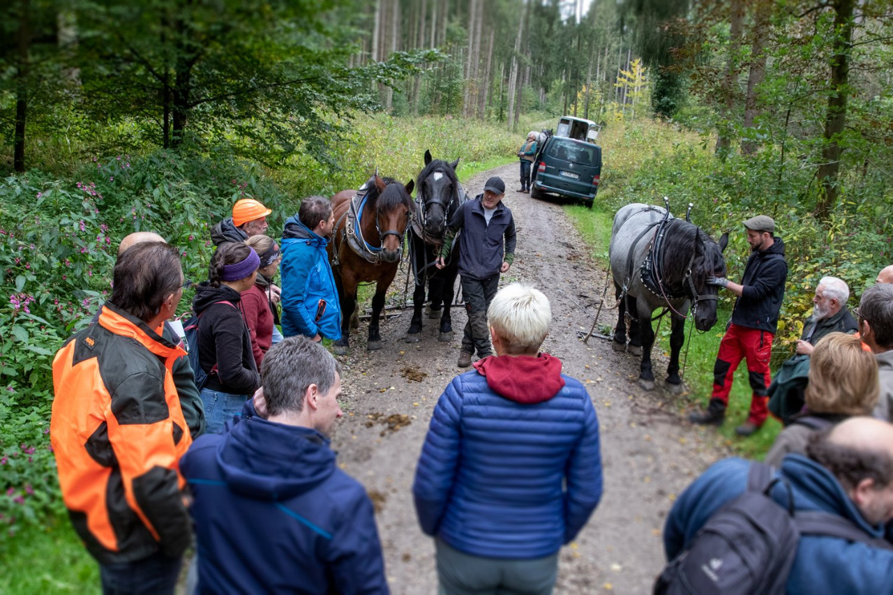 Rückevorführung an der Hochschule