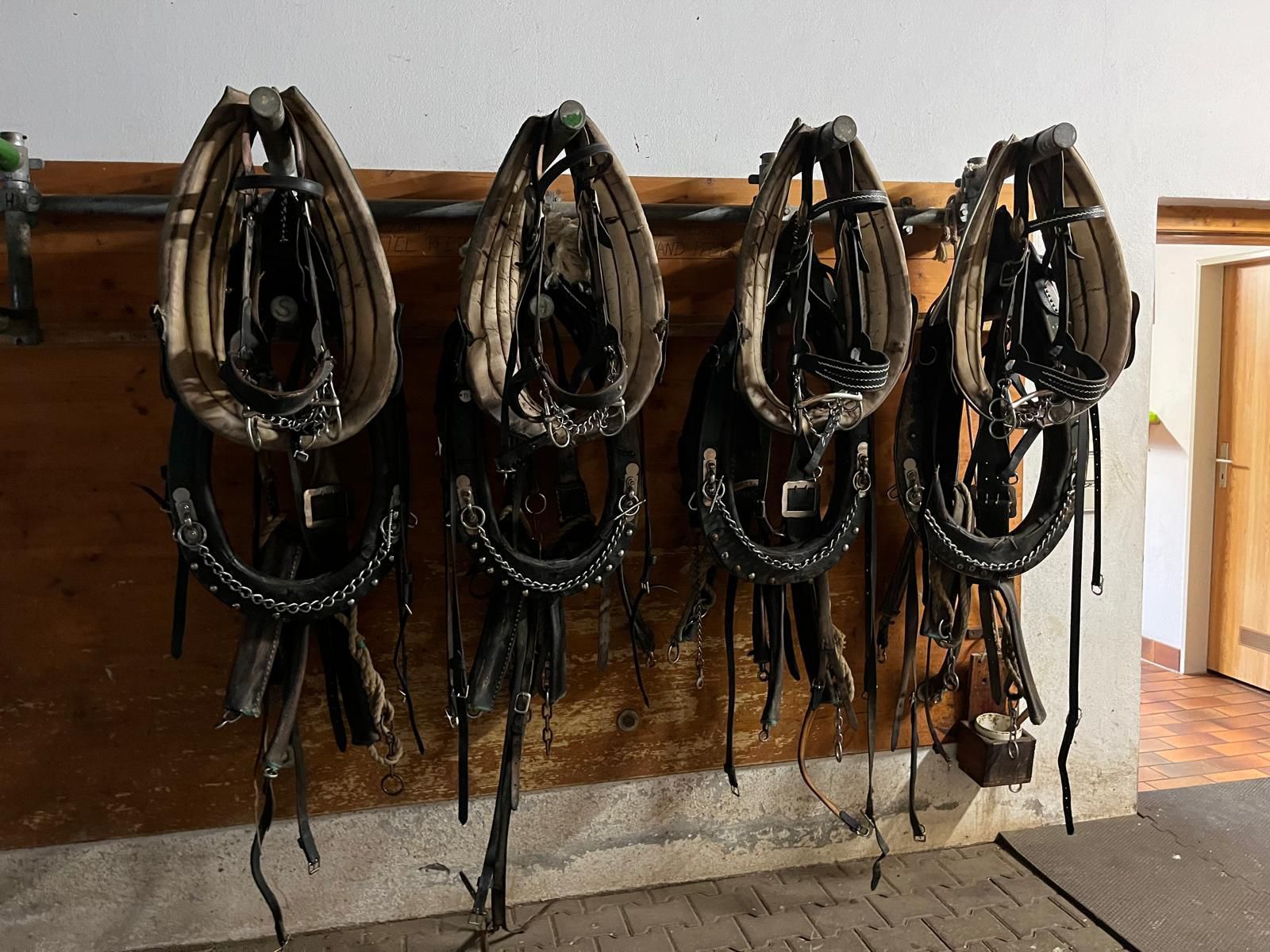 Sommerstammtisch 2024 - Kutschen Müller