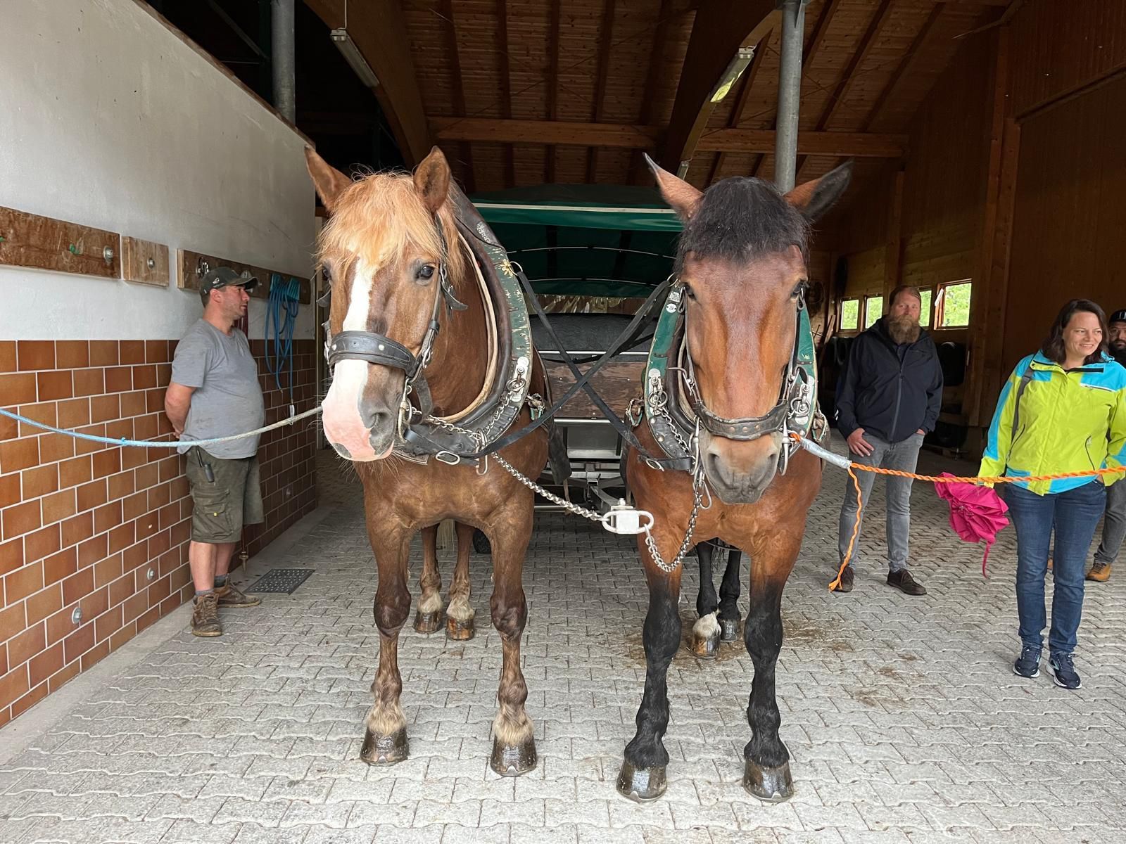 Sommerstammtisch 2024 - Kutschen Müller