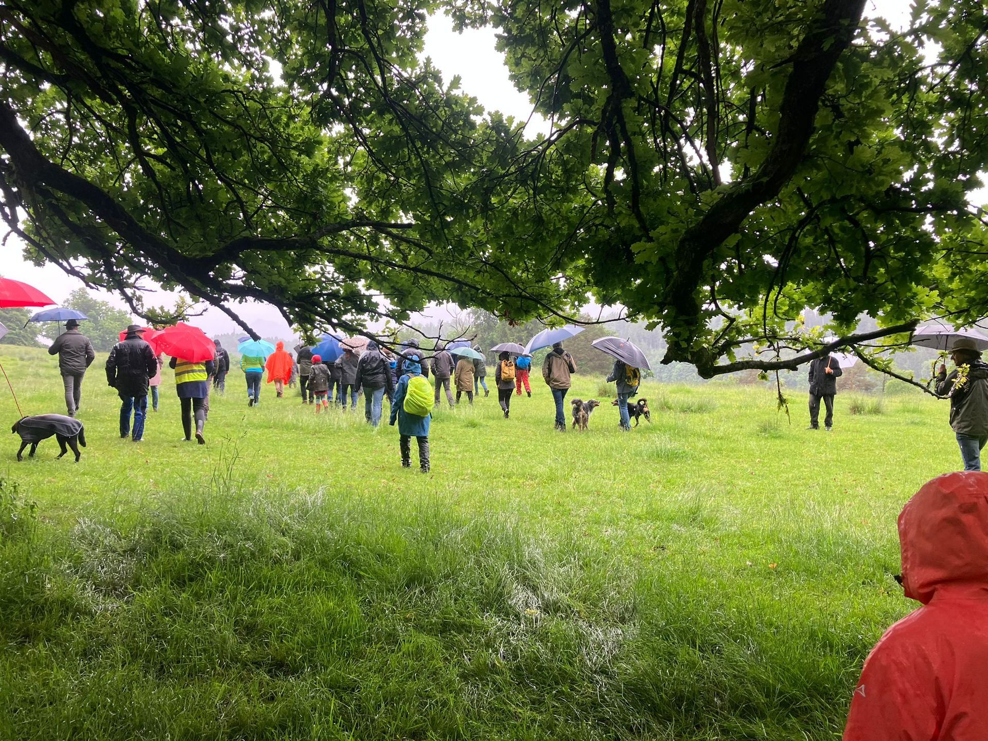 Sommerstammtisch 2025 - "Reif für die Insel"