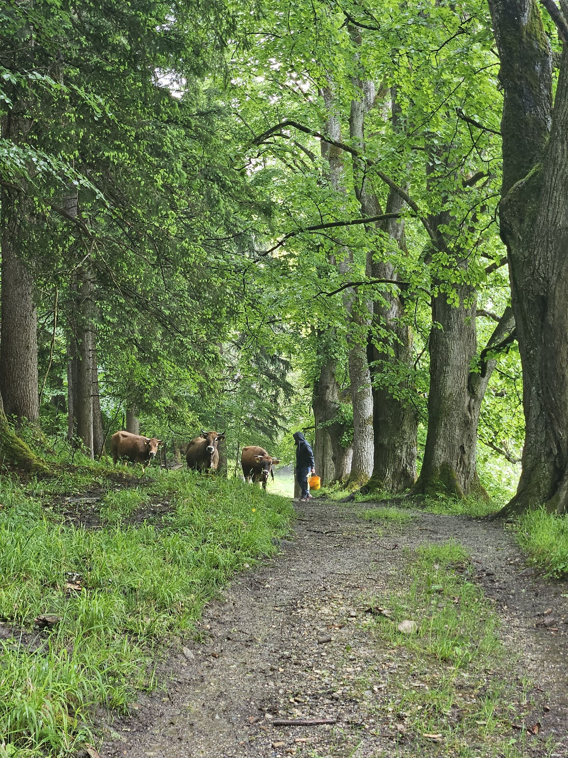 Sommerstammtisch 2025 - "Reif für die Insel"