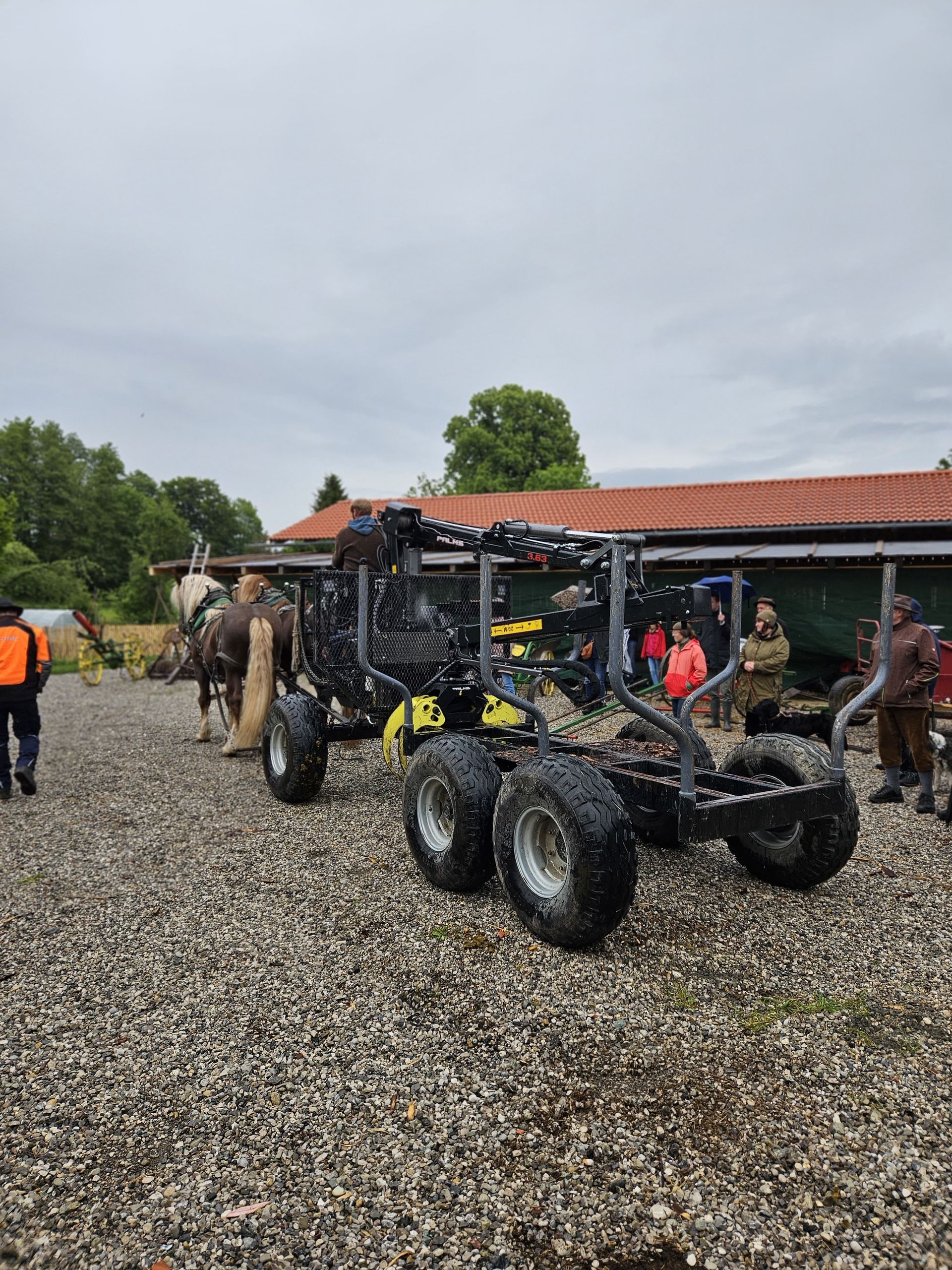 Sommerstammtisch 2025 - "Reif für die Insel"