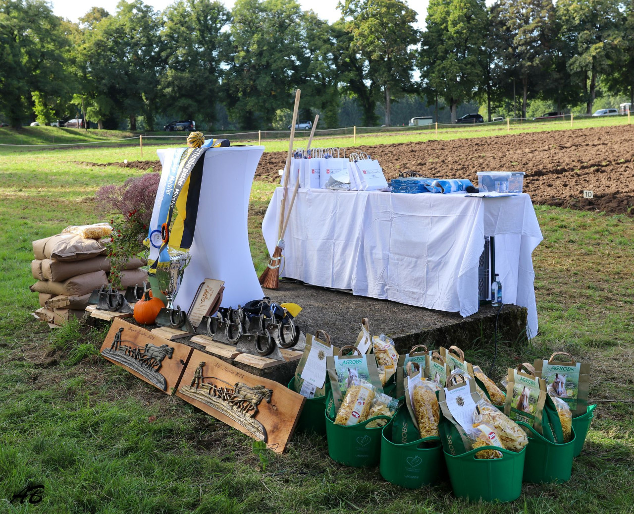 Süddeutsche Pflügemeisterschaft