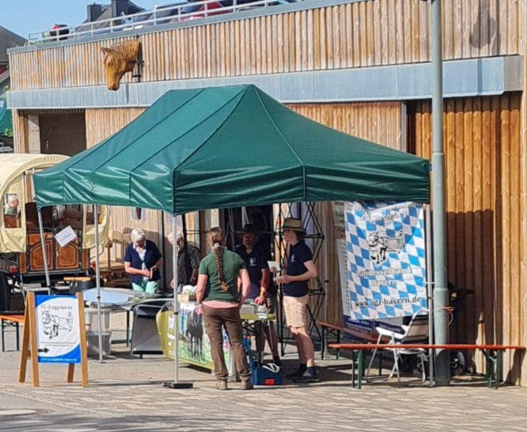 Tag des Ardenner Pferdes